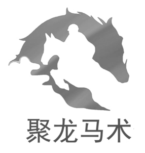 聚龙_logo.jpg