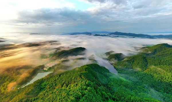 大东山旅飞_01云海.jpeg