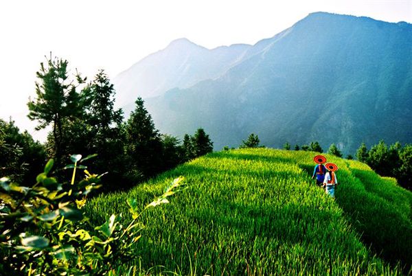 大东山旅飞_04.jpg