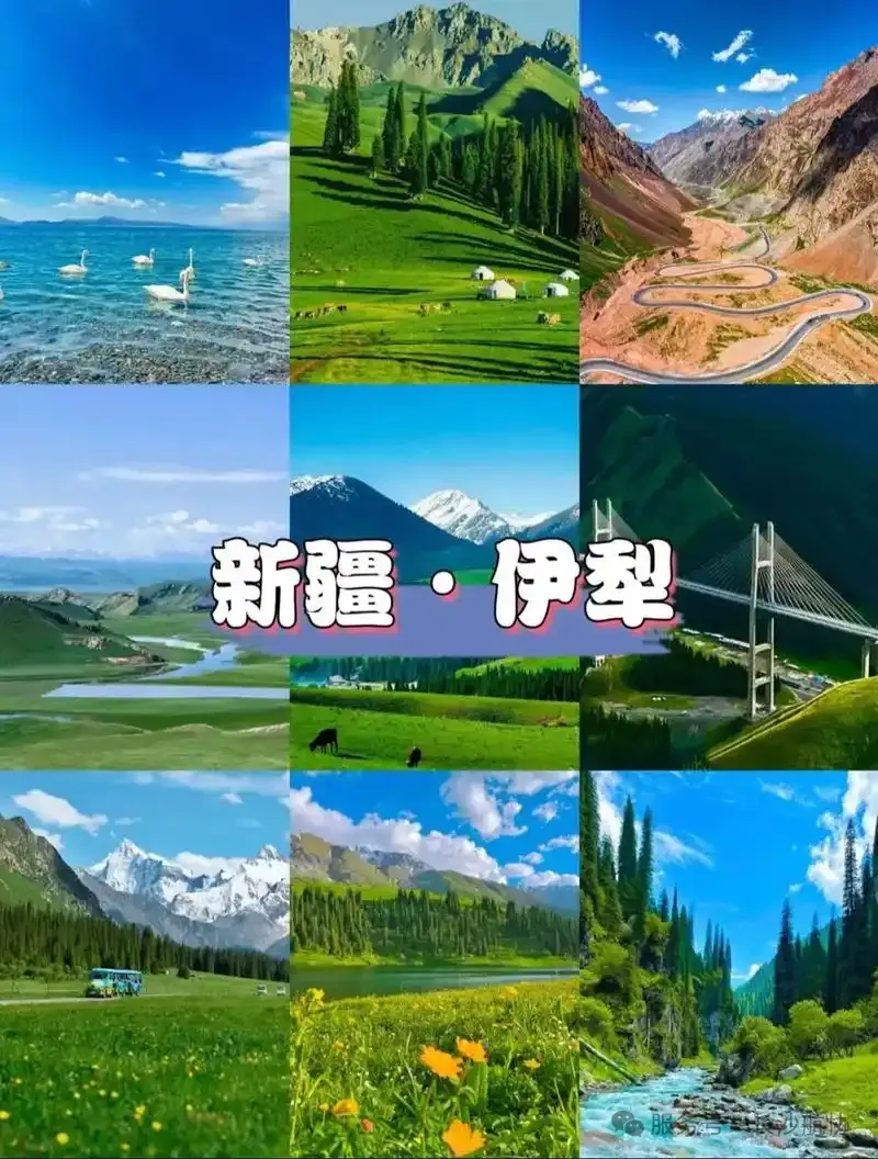 文章附图